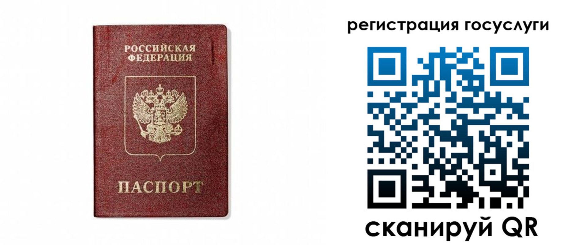 прописка паспорт в Юрьев-Польском